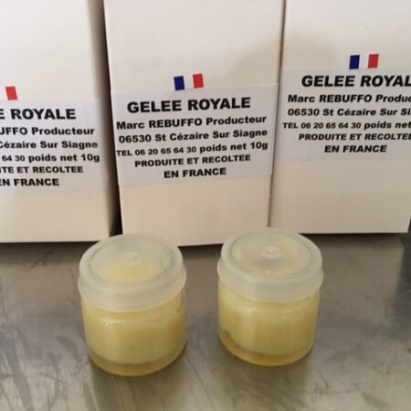 Gelée Royale - Cure 15 jours